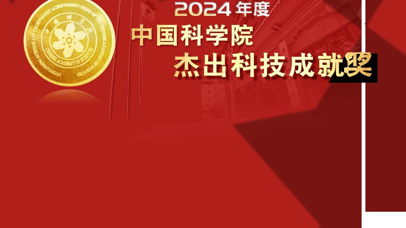数据服务报价单定制服务：揭秘企业数据管理的精准之道**